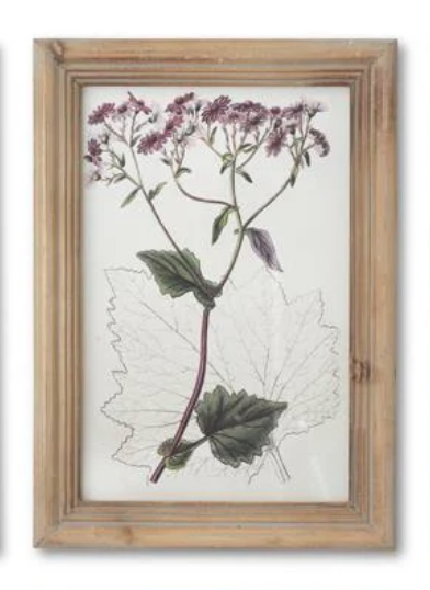 Madisonsniches